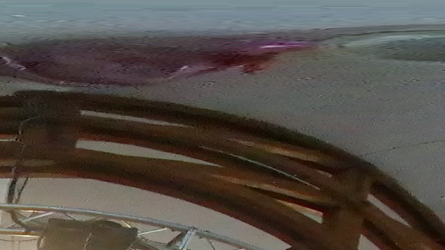 Foto1