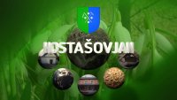 hostasovjan